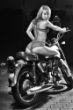 IMG_0157b-MK1.jpg