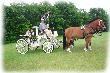 Hochzeit 19