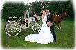 Hochzeit 20